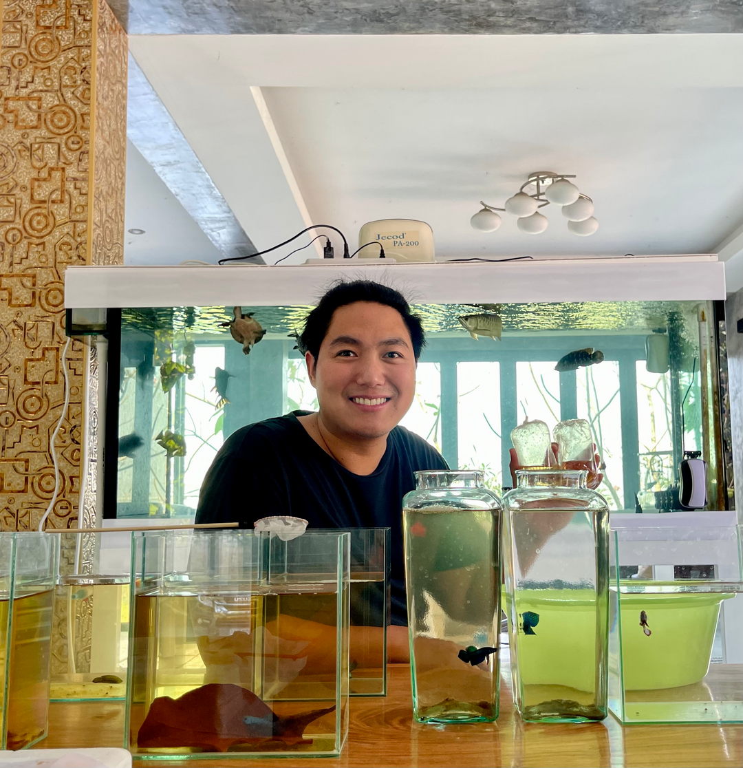 Thailand Betta Fish Review: Premium Rare Betta Fish from Thailand – Worth Buying?